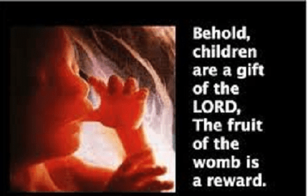 bibleabortion